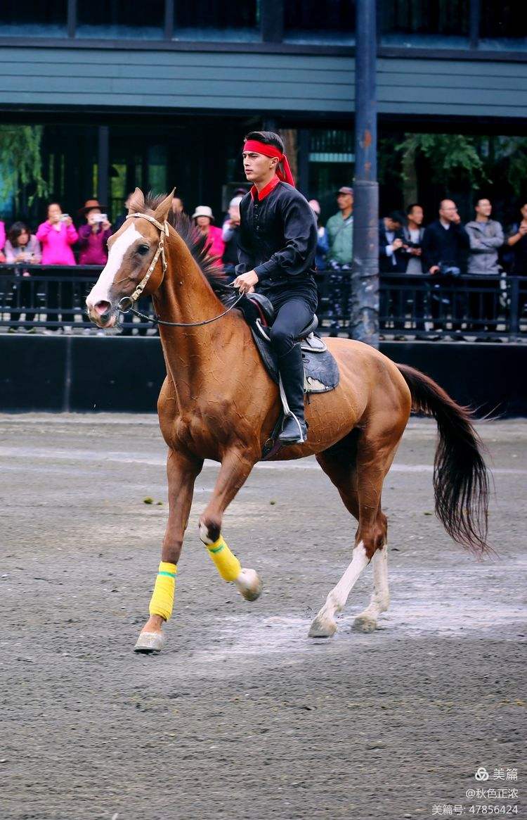 今晚萨克拉门托国王调整名单以备足总杯，止住颓势环节打磨，赛场秩序良好，资深球员宣示担当的简单介绍-爱游戏体育入口